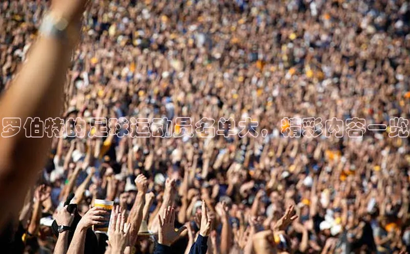 意昂2登录宇信科技