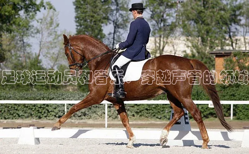 意昂2代理汉得信息