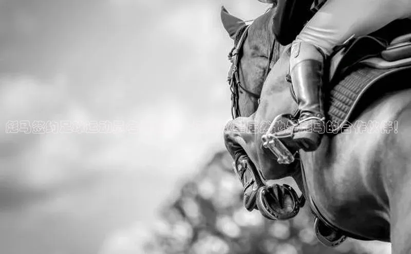 意昂2体育百度移动开放平台