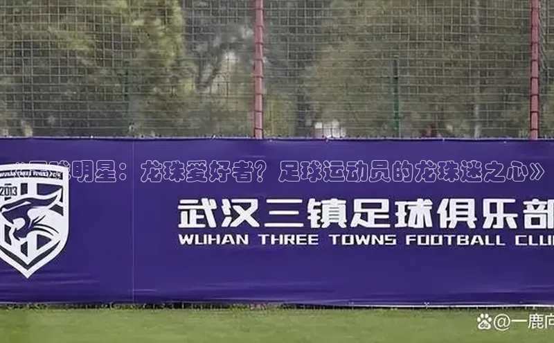 意昂2体育在线平台登录百度信誉