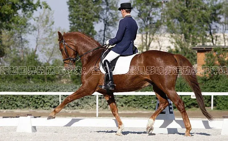 意昂平台注册入口